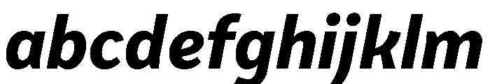 VanSans BoldItalic FONT