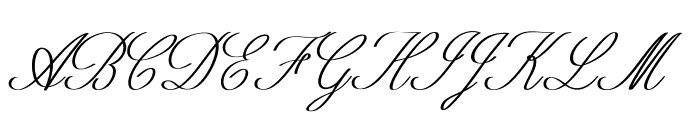 Varion-CondensedItalic Font UPPERCASE