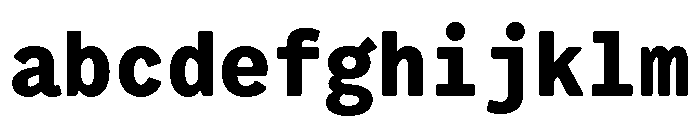 VCTRMono Black FONT