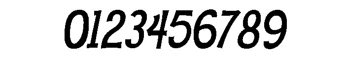 Velzyland Bold Italic Font OTHER CHARS