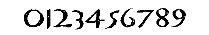 Venezuela Bold Font OTHER CHARS