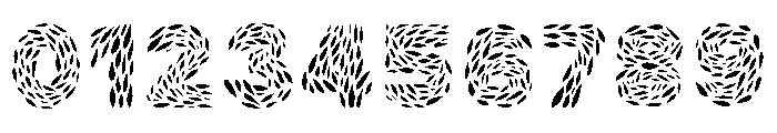 VERDURA Font OTHER CHARS