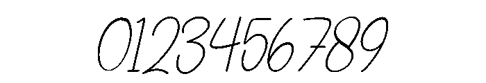 Veliora Signature Italic Font OTHER CHARS