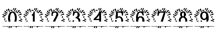 Veloriax Split Monogram Font OTHER CHARS
