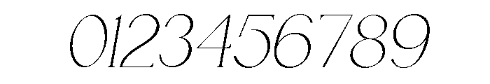 Velorum Italic Font OTHER CHARS