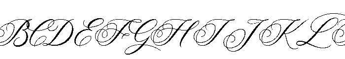Velysha Grace Regular Font UPPERCASE
