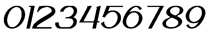 Vengance Italic Font OTHER CHARS