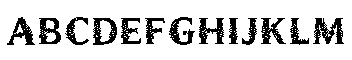 Venus_flytrap Regular FONT