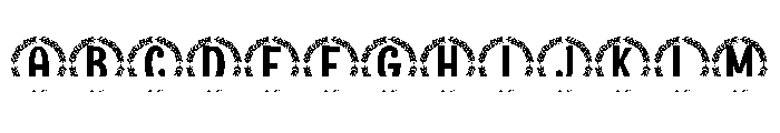 Verdiva Split Monogram FONT