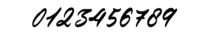 Verdons Wild Regular Font OTHER CHARS
