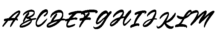 Verdons Wild Regular Font UPPERCASE