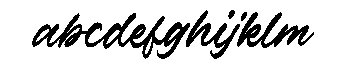 Verdons Wild Regular FONT