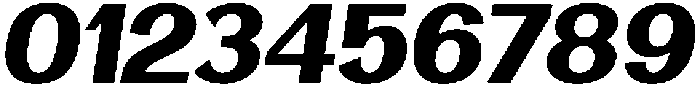 Vegora Heavy Slant otf (800) Font OTHER CHARS