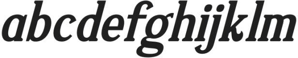 Vejlikan Italic otf (400) Font LOWERCASE