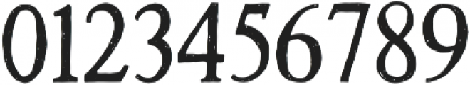 Versica Serif otf (400) Font OTHER CHARS