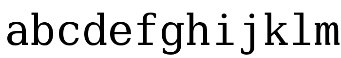 Verily Serif Mono Font LOWERCASE