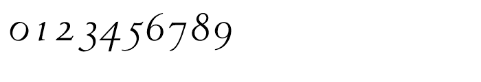 Venetian 301 Demibold Italic Font OTHER CHARS