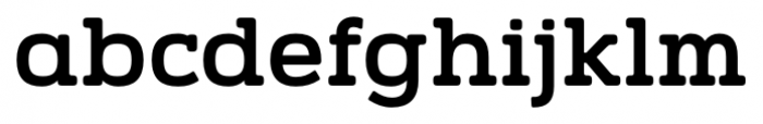 Vezus Serif Bold Font LOWERCASE