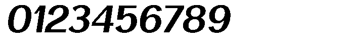 Vegora Bold Slant Font OTHER CHARS