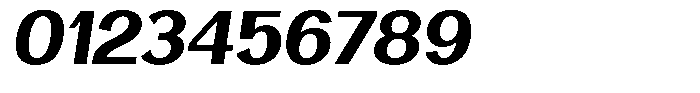 Vegora Extra Bold Slant Font OTHER CHARS