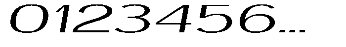 Vegora Light Ultra Expanded Slant Font OTHER CHARS