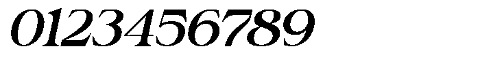 Vekota Realies Italic Font OTHER CHARS