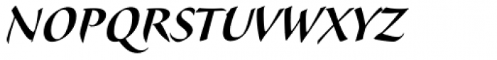 Veljovic Script Pro Cyrillic Bold Font UPPERCASE