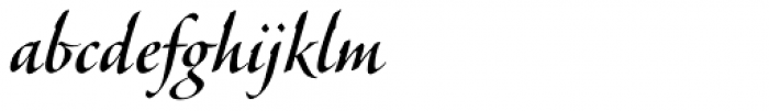 Veljovic Script Pro Cyrillic Medium Font LOWERCASE