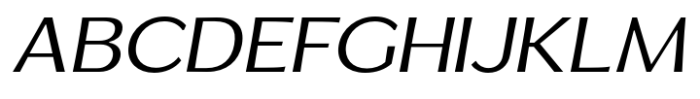 Venlury Expanded Italic Font UPPERCASE