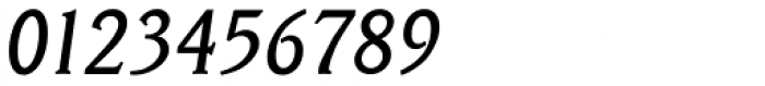 Veracruz Serial Italic Font OTHER CHARS