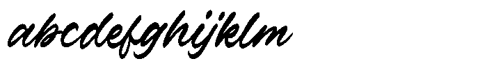 Verdons Wild FONT