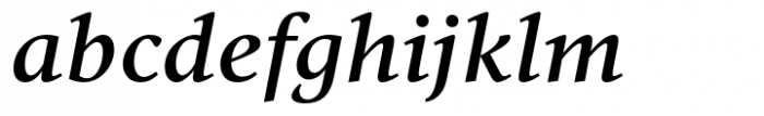 Vernacular Serif Medium Italic Font LOWERCASE