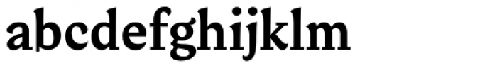 Verse Serif Bold Font LOWERCASE