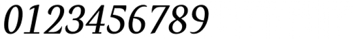 Verse Serif Medium Italic Font OTHER CHARS