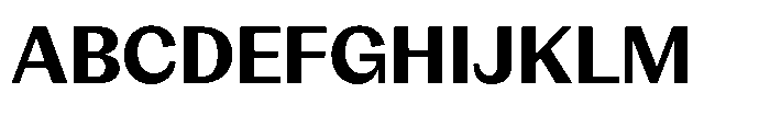 Version C Bold Font UPPERCASE