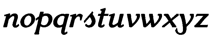 Venis Bold Italic Font LOWERCASE