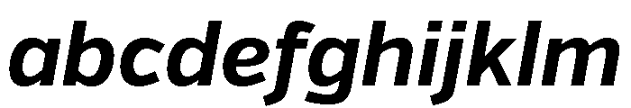 Verb Bold Italic FONT