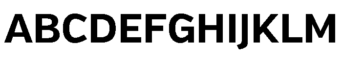 Verb Bold Font UPPERCASE