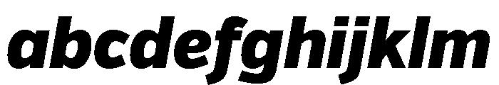 Verb Condensed Black Italic FONT