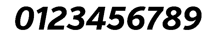 Verb Condensed Bold Italic Font OTHER CHARS