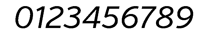 Verb Regular Italic Font OTHER CHARS
