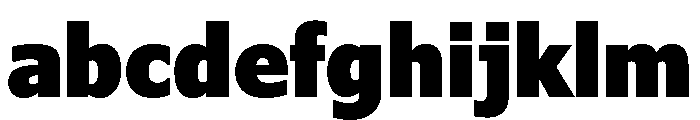 Verdana Pro Condensed Black FONT