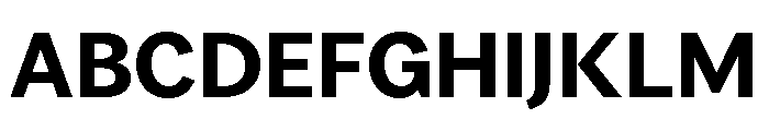 Vesterbro Sans Bold Font UPPERCASE