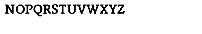 Vekta Serif Bold Font UPPERCASE