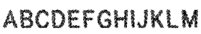 Vincent Regular FONT