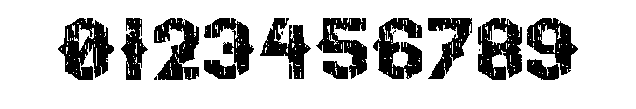 Vintage Cactus Regular Font OTHER CHARS