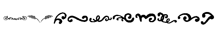 Vintage Flourish Ornaments Font OTHER CHARS