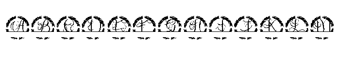 Virdelle SPlit Monogram FONT