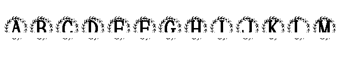 Virellia Split Monogram FONT