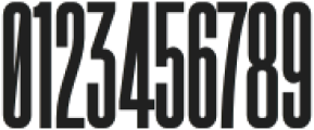 Vienna Woodtype Clean otf (400) Font OTHER CHARS